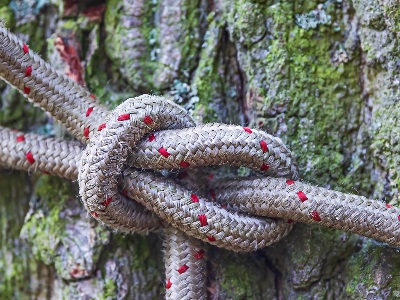 Scout Quiz - Test Your Knowledge of 10 Different Knots