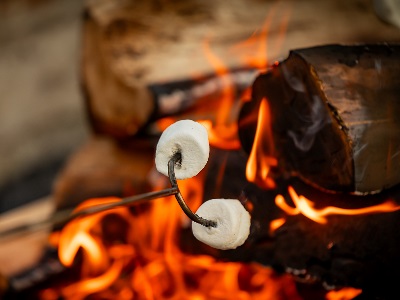 Scout Quiz - Singing Campfire Songs And Telling Stories