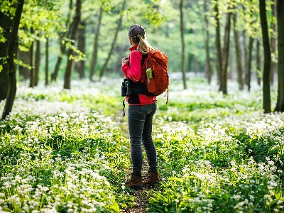 Explorer Scouts Overview Quiz - Test Your Explorers Knowledge