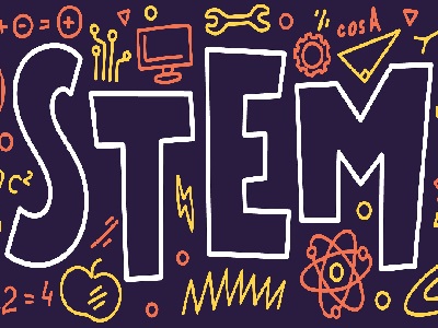 Guide Quiz - STEM