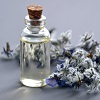 Perfume Bottle With Plant