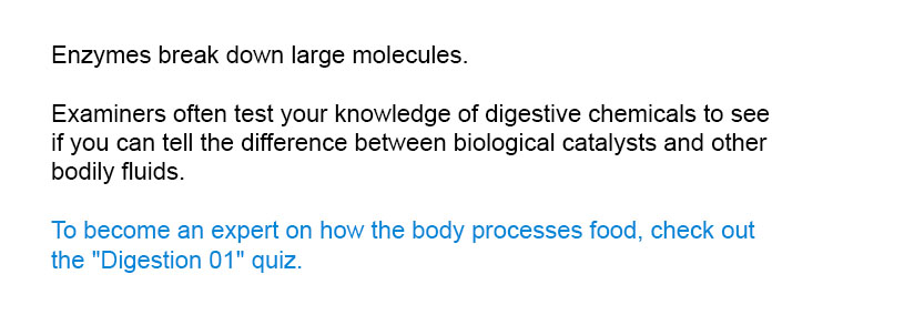 Enzymes break down large molecules.