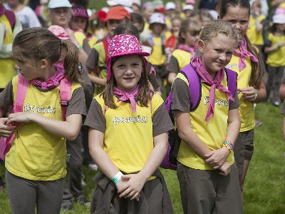 Brownies at event